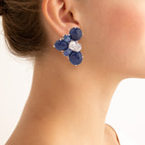 Burst vi sapphire earrings